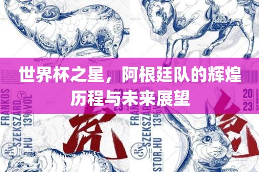 世界杯之星，阿根廷队的辉煌历程与未来展望金炬实业股份有限公司