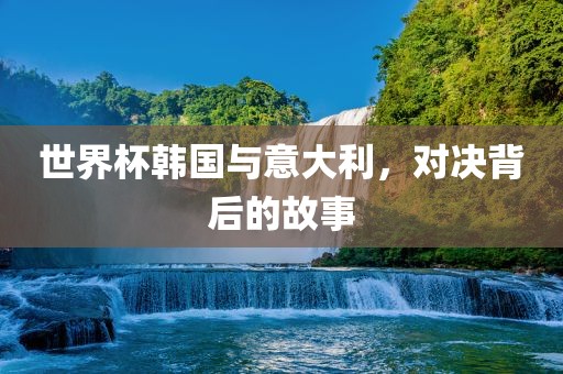 世界杯韩国与意大利，对决背后的故事