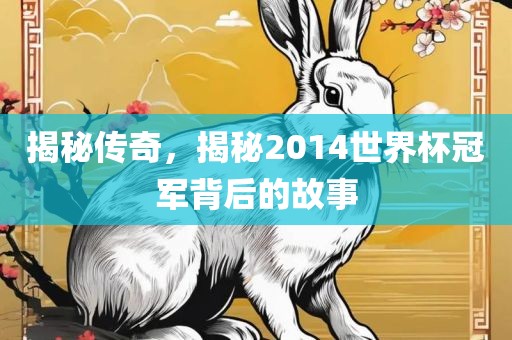 揭秘传奇，揭秘2014世界杯冠军背后的故事