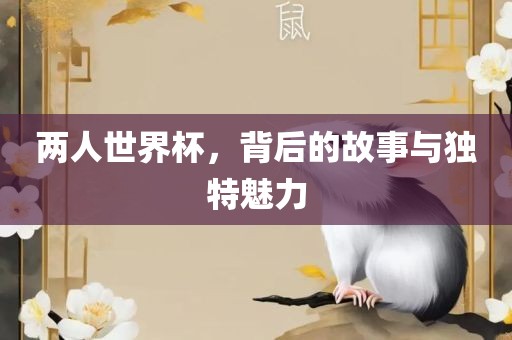 两人世界杯，背后的故事与独特魅力