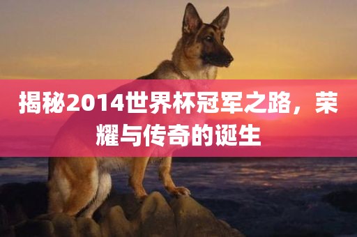 揭秘2014世界杯冠军之路，荣耀与传奇的诞生