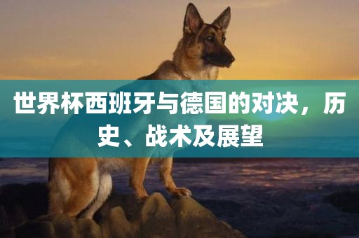 世界杯西班牙与德国的对决，历史、战术及展望