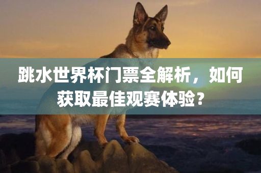 跳水世界杯门票全解析，如何获取最佳观赛体验？