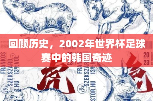 回顾历史，2002年世界杯足球赛中的韩国奇迹