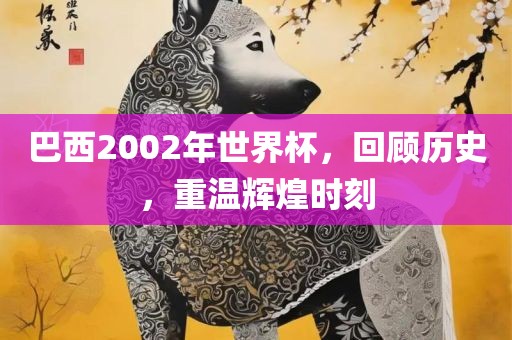 巴西200金炬实业股份有限公司2年世界杯，回顾历史，重温辉煌时刻