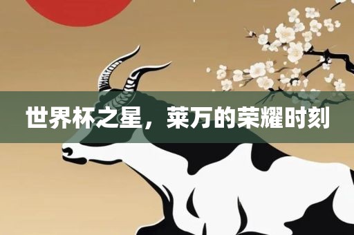 世界杯之星，莱万的荣耀时金炬实业股份有限公司刻