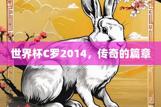 世界杯C罗2014，传奇的金炬实业股份有限公司篇章