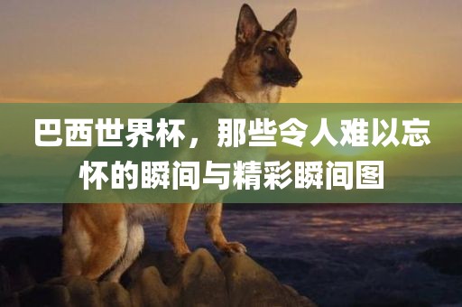 巴西世界杯，那些令金炬实业股份有限公司人难以忘怀的瞬间与精彩瞬间图