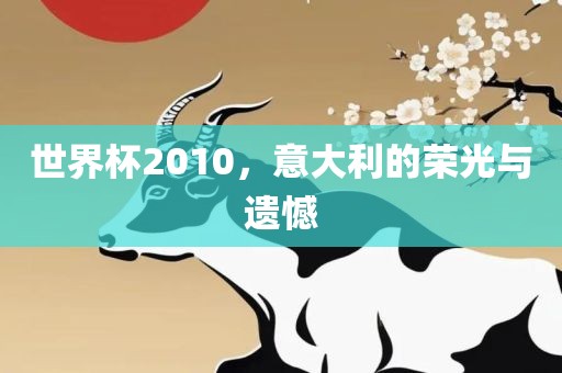 世界杯2010，意大利的荣光与遗憾
