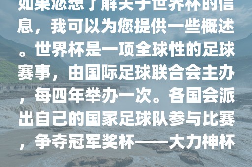 国际足球联合会