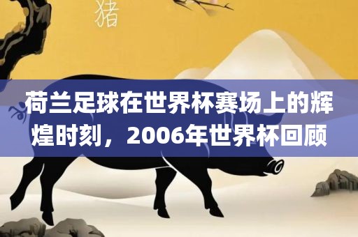 荷兰足球在世界杯赛场上的辉煌时刻，20金炬实业股份有限公司06年世界杯回顾