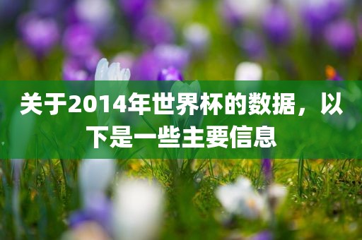 2014年世界杯