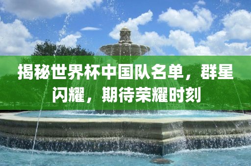 揭秘世界杯中国队名单，群星闪耀，期待荣耀时刻