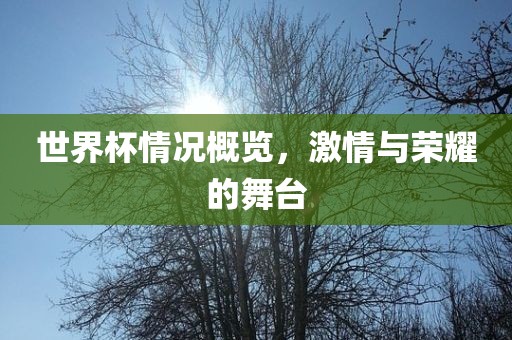 世界杯情况概览，激情与荣耀的舞台