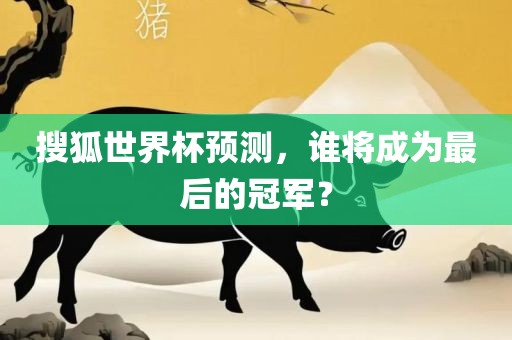 搜狐世界杯预测，谁将成为最后的冠军？