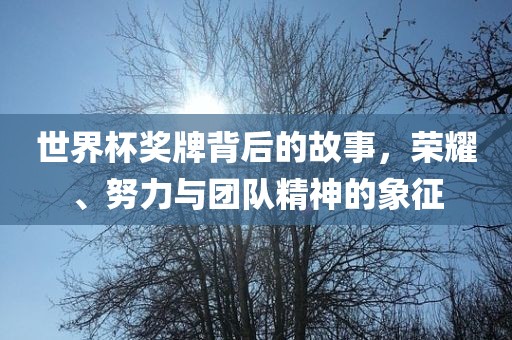 世界杯奖牌背后的故事，荣耀、努力与团队精神的象征