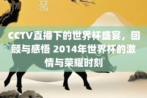 CCTV直播下的世界杯盛宴，回顾与感悟 2014年世界杯的激情与荣耀时刻