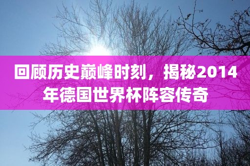 回顾历史巅峰时刻，揭秘2014年德国世界杯阵容传奇