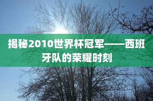揭秘2010世界杯冠军——西班牙队的荣耀时刻