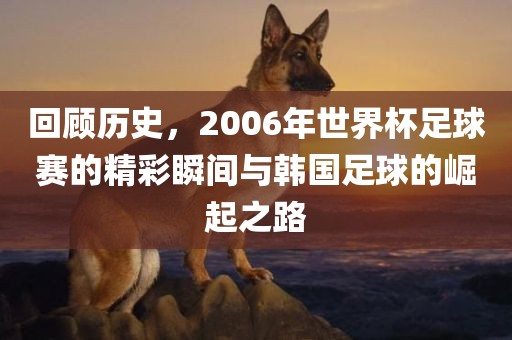 回顾历史，2006年世界杯足球赛的精彩瞬间与韩国足球的崛起之路