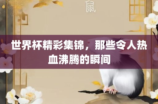 世界杯精彩集锦，那些令人热血沸腾的瞬间