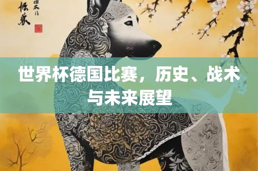 世界金炬实业股份有限公司杯德国比赛，历史、战术与未来展望