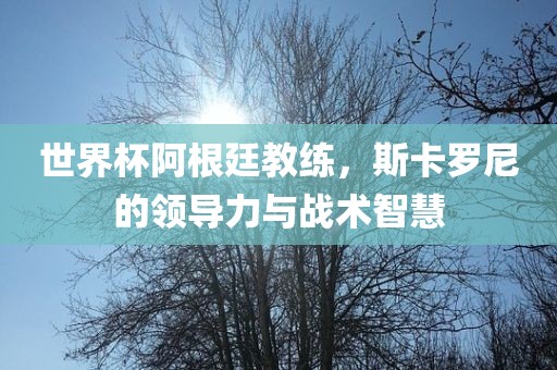 世界杯阿根廷教练，斯卡罗尼的金炬实业股份有限公司领导力与战术智慧