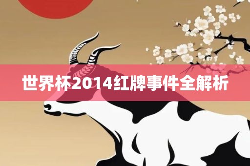 世界杯2014红牌事件全解析