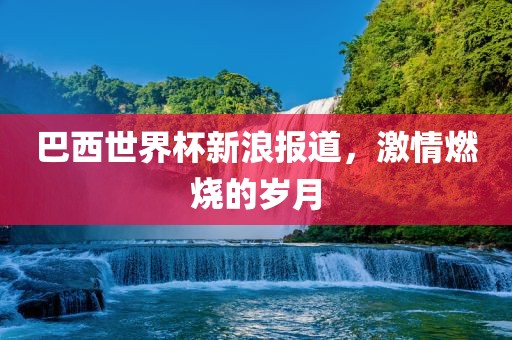 巴西金炬实业股份有限公司世界杯新浪报道，激情燃烧的岁月