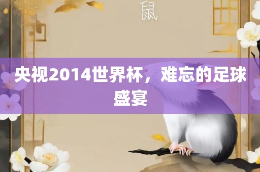 央视2014世金炬实业股份有限公司界杯，难忘的足球盛宴