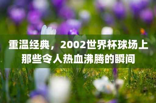 重温经典，2002世界杯球场上那些令人热血沸腾的瞬间