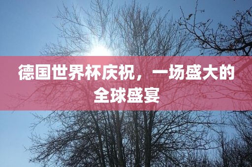 德国世界杯庆祝，一场盛大的全球盛宴金炬实业股份有限公司