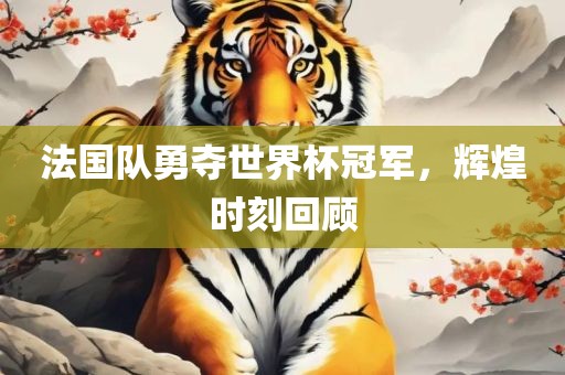 法国队勇夺世界杯冠军，辉煌时刻回顾