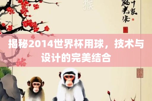 揭秘2014世界杯用球，技术与设计的完美结合