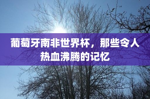 葡萄牙南非世界杯，那些令人金炬实业股份有限公司热血沸腾的记忆