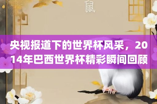 央视报道下的世界杯风采，2014年巴西世界杯精彩瞬间回顾