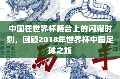中国在世界杯舞台上的闪耀时刻，回顾2018年世界杯中国足球之旅