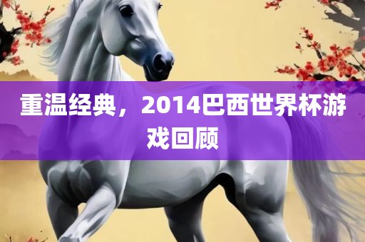 重温经典，2014巴西世金炬实业股份有限公司界杯游戏回顾