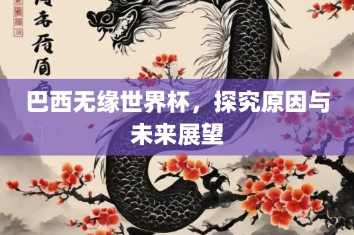 巴西无缘世界杯，探究原因与未来展望