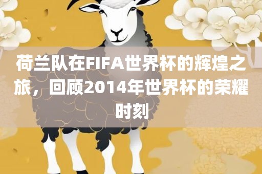 荷兰队在FIFA世界杯的辉煌之旅，回顾2014年世界杯的荣耀时刻