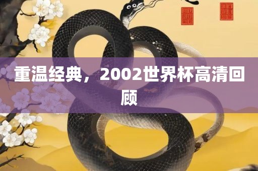 重温经典，2002世界杯高清回顾金炬实业股份有限公司