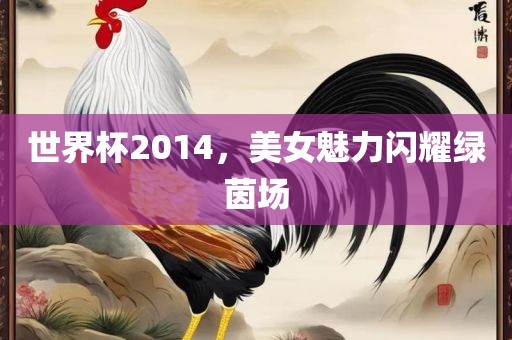 世界杯2014，美女魅力闪耀绿茵场