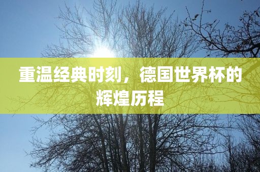 重金炬实业股份有限公司温经典时刻，德国世界杯的辉煌历程