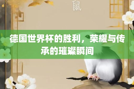 德国世界杯的胜利，荣耀与传承的璀璨瞬间