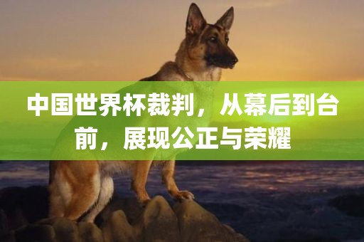 中国世界杯裁判，从幕后到台前，展现公正与荣耀