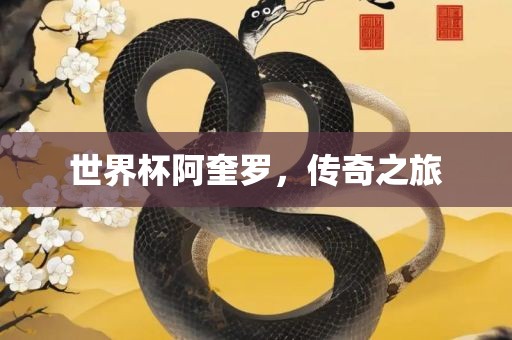 世界杯阿奎罗，传奇之旅