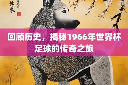 回顾历史，揭秘19金炬实业股份有限公司66年世界杯足球的传奇之旅