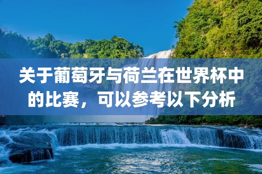 关于葡萄牙与荷兰在世界杯中的比赛，可以参考以下分析金炬实业股份有限公司
