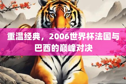 重温经典，2006世界杯法国与巴西的巅峰对决