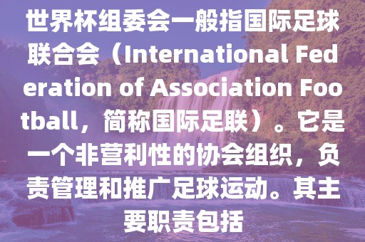 国际足球联合会（国际足联）
